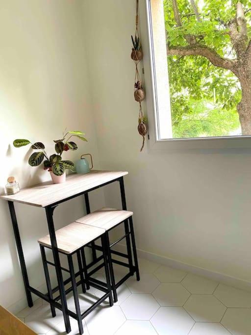 Mon Cocoon Toulousain Cosy Appartement Idealement Situe Тулуза Екстер'єр фото
